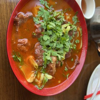 Han Dynasty - Spicy Beef Noodle Soup - Chinese Near Me - Philadelphia, Pennsylvania Han Dynasty - Spicy Beef Noodle Soup - Chinese Near Me - Philadelphia, Pennsylvania