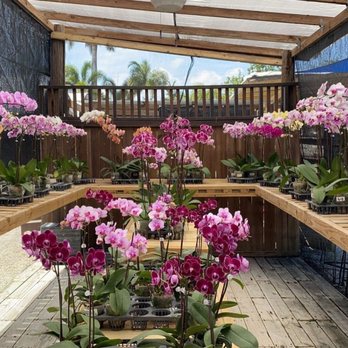 Isaac Farms - Nurseries & Gardening Near Me - Miami, Florida Isaac Farms - Nurseries & Gardening Near Me - Miami, Florida