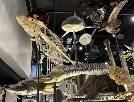 Burke Museum of Natural History and Culture by null Burke Museum of Natural History and Culture by null