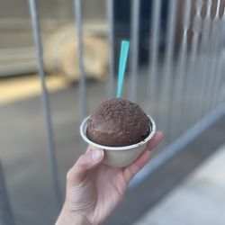 Chocolate & coconut
