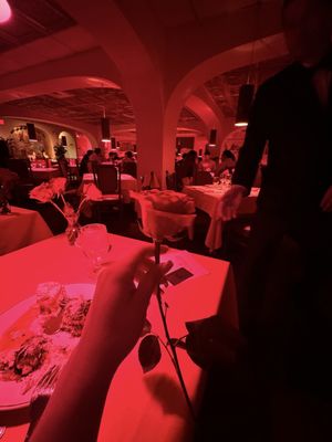 Donatello Italian Restaurant by null