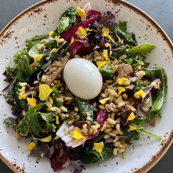 Kantine - Kale and mushroom bowl - Scandinavian Near Me - San Francisco, California Kantine - Kale and mushroom bowl - Scandinavian Near Me - San Francisco, California