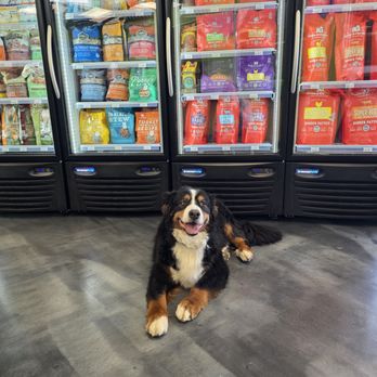 Pet Evolution - Pet Groomers Near Me - Tualatin, Oregon