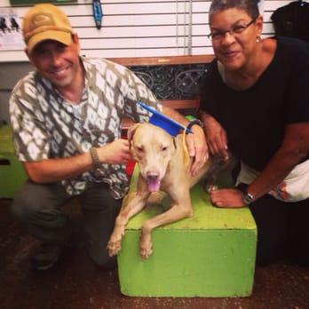 Bark Avenue Playcare - Pet Training Near Me - Chicago, Illinois
