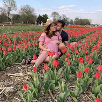 Richardson Farms - Cute pictures taken - Christmas Trees Near Me - Spring Grove, Illinois