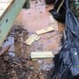 Photo of Pinnacle Landscaping