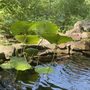 Photo of Corner Stone Gardens