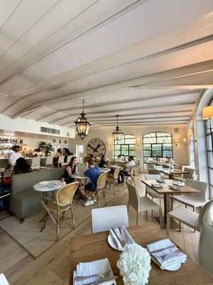 Tiny Boxwoods by null