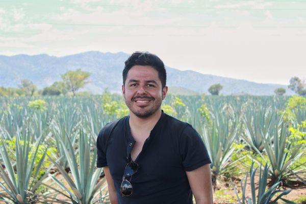 The Agave Experience by null
