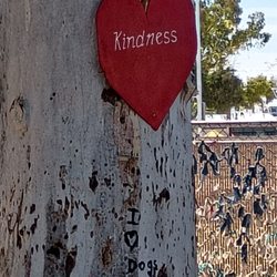 Palo Verde Dog Park