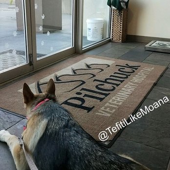 Pilchuck Veterinary Hospital - Small Animal - Sumtime I havz to come hur... Dey da bess but I still wantz to leave bad - Veterinarians Near Me - Snohomish, Washington Pilchuck Veterinary Hospital - Small Animal - Sumtime I havz to come hur... Dey da bess but I still wantz to leave bad - Veterinarians Near Me - Snohomish, Washington