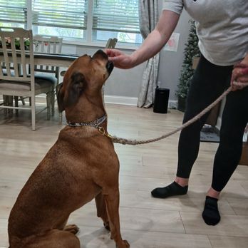 Ntima Kennels - Pet Training Near Me - Gary, Indiana Ntima Kennels - Pet Training Near Me - Gary, Indiana