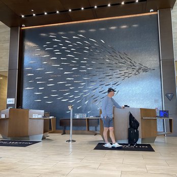 The Westin Sarasota - Hotels Near Me - Sarasota, Florida The Westin Sarasota - Hotels Near Me - Sarasota, Florida
