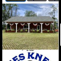 The Bees Knees Bakery - The Bakery