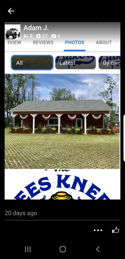 The Bees Knees Bakery Logo