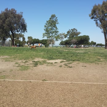 Arbor Dog Park - Wide open area for the dogs to run - Dog Parks Near Me - Los Alamitos, California Arbor Dog Park - Wide open area for the dogs to run - Dog Parks Near Me - Los Alamitos, California