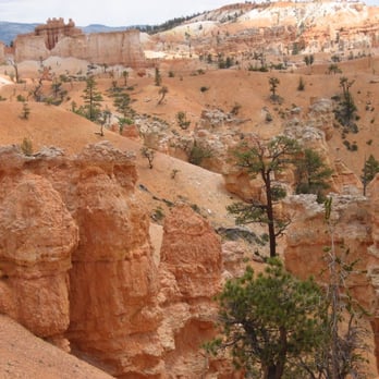 Canyon Trail Rides - Bryce Canyon - Canyon Trail Rides - Horseback Riding Near Me - Tropic, Utah Canyon Trail Rides - Bryce Canyon - Canyon Trail Rides - Horseback Riding Near Me - Tropic, Utah