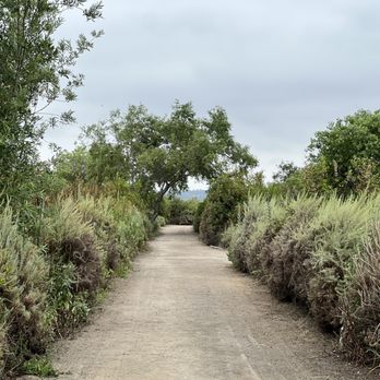 San Joaquin Marsh Wildlife Sanctuary - Parks Near Me - Irvine, California San Joaquin Marsh Wildlife Sanctuary - Parks Near Me - Irvine, California