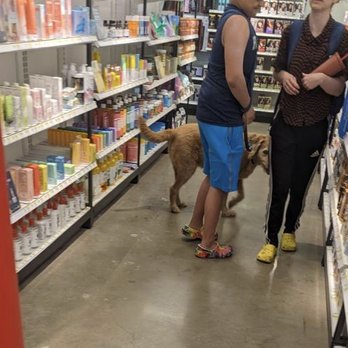Target - Non service animal - Furniture Stores Near Me - Chicago, Illinois
