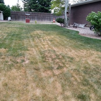 Maverick Lawn & Tree Experts - Lawn Services Near Me - Cheyenne, Wyoming