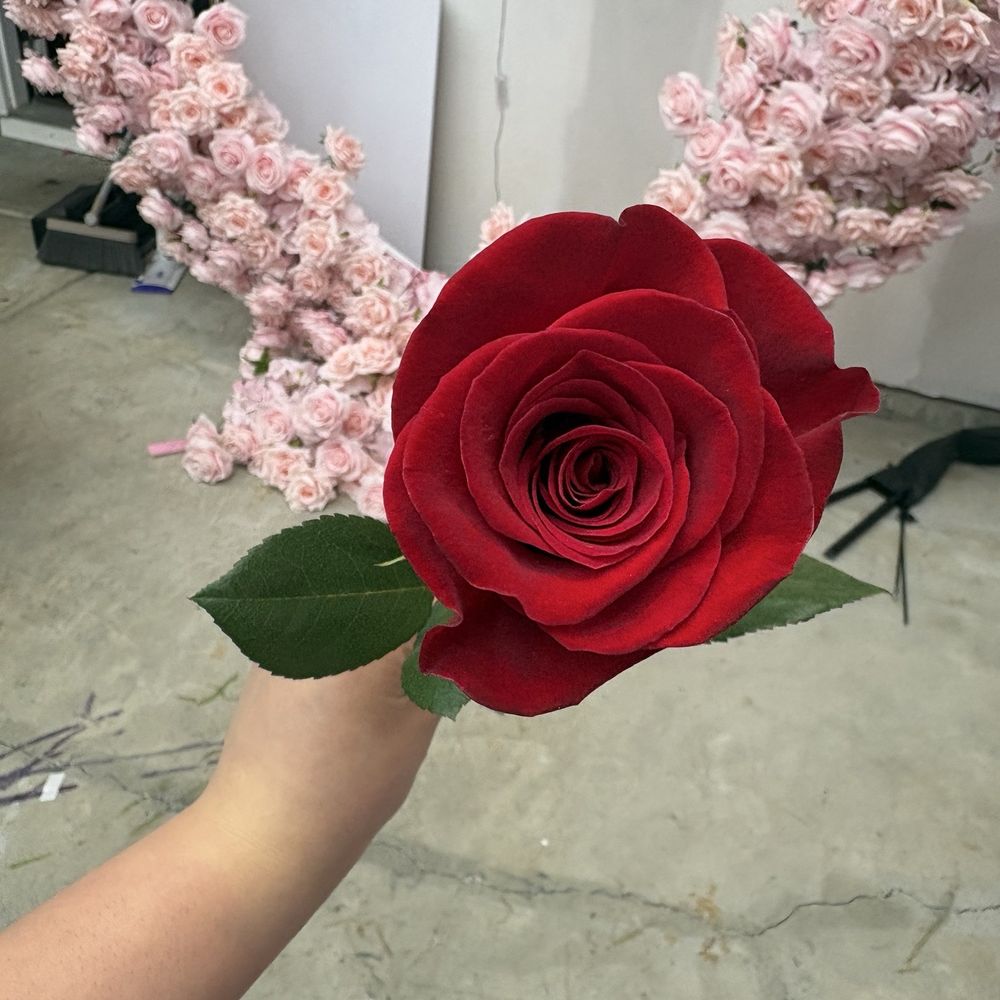 24k Rose Petals - Red rose - Floral Designers Near Me 24k Rose Petals - Red rose - Floral Designers Near Me