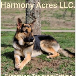 Harmony Acres