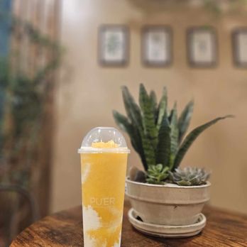 Pu’er Taiwan Tea & Coffee - a cup of tea and a potted plant - Coffee & Tea Near Me - Richardson, Texas Pu’er Taiwan Tea & Coffee - a cup of tea and a potted plant - Coffee & Tea Near Me - Richardson, Texas
