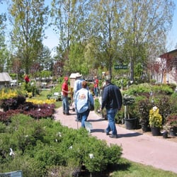 Town & Country Gardens - Outdoor Nursery