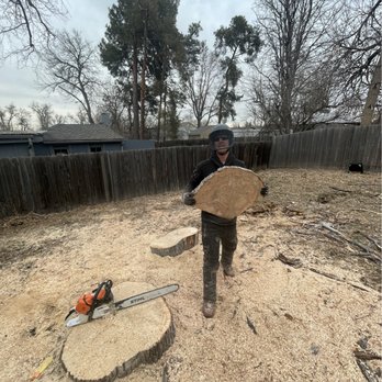 Tannenbaum Tree Care - Tree Services Near Me Tannenbaum Tree Care - Tree Services Near Me