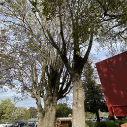 Bret Harte Middle School