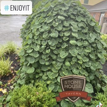 Stone House Tavern - Gorgeous Landscaping - American Near Me - Waynesville, Ohio
