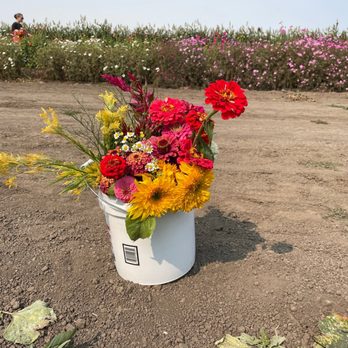 The Farm - Flowers - Fruits & Veggies Near Me - Salinas, California
