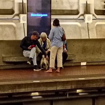 Dupont Circle Metro Station - Everyone is happy to see the little visitor. - Metro Stations Near Me - Washington, DC, District of Columbia