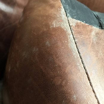 1111 Belle Pre Apartments - mold on leather couch!!!! - Apartments Near Me - Alexandria, Virginia