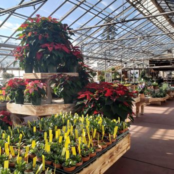 Mischler's Florist - Nurseries & Gardening Near Me - Williamsville, New York Mischler's Florist - Nurseries & Gardening Near Me - Williamsville, New York
