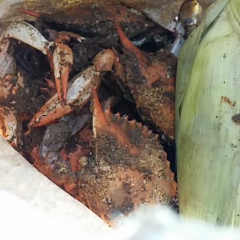 Gaffney's Back Fin - Overcooked extremely nasty - Seafood Markets Near Me - Baltimore, Maryland