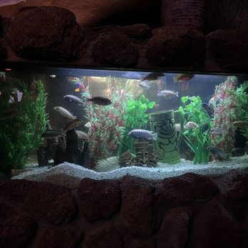 Kon Tiki Restaurant & Lounge - Fish tank inside front door - American Near Me - Tucson, Arizona