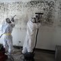 Photo of X-treme Cleaning & Restoration