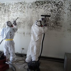 X-treme Cleaning & Restoration