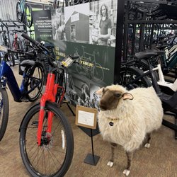 Trek Bicycle Lake Oswego
