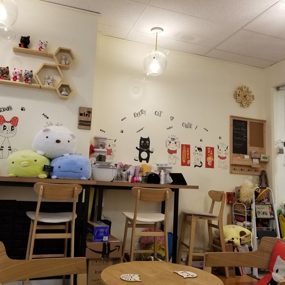 Drincup Cafe - Cats! - Bubble Tea Near Me - Honolulu, Hawaii Drincup Cafe - Cats! - Bubble Tea Near Me - Honolulu, Hawaii