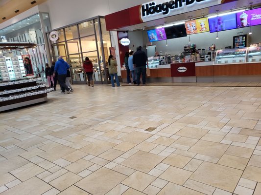 Smith Haven Mall by null