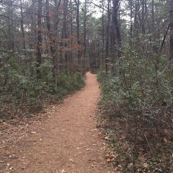 Quogue Wildlife Refuge - Parks Near Me - Quogue, New York Quogue Wildlife Refuge - Parks Near Me - Quogue, New York