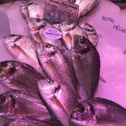 La Marée Gruissanaise - Poisson
