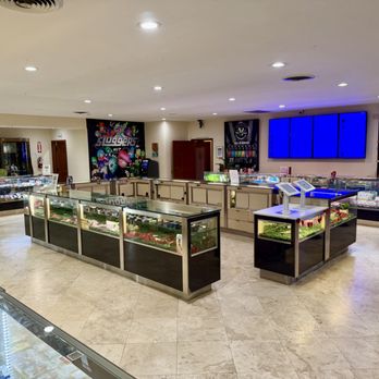 Jet Room - Clean showroom. - Cannabis Dispensaries Near Me - Adelanto, California Jet Room - Clean showroom. - Cannabis Dispensaries Near Me - Adelanto, California