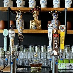 Taquiza - Six Beers on Tap