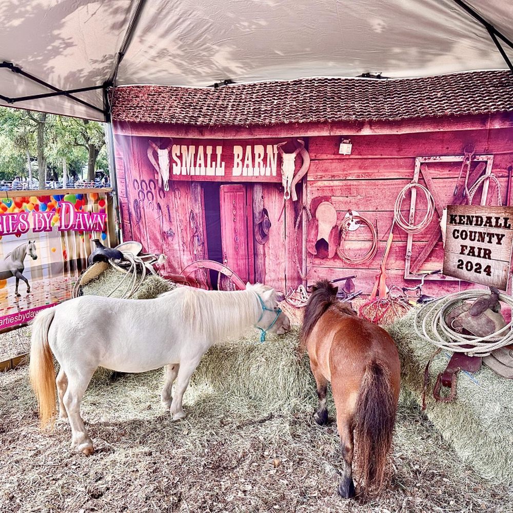 QB Room Report (FBS) 🏈 Quarterback Recruiting Commitments, image size:1000x1000