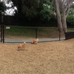 Panorama view from the dog park