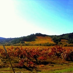 Healdsburg Wine Country Half Marathon - The route