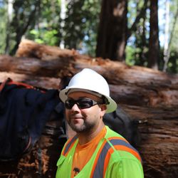 Community Tree Services - Residential and Commercial Tree Service in Santa Clara